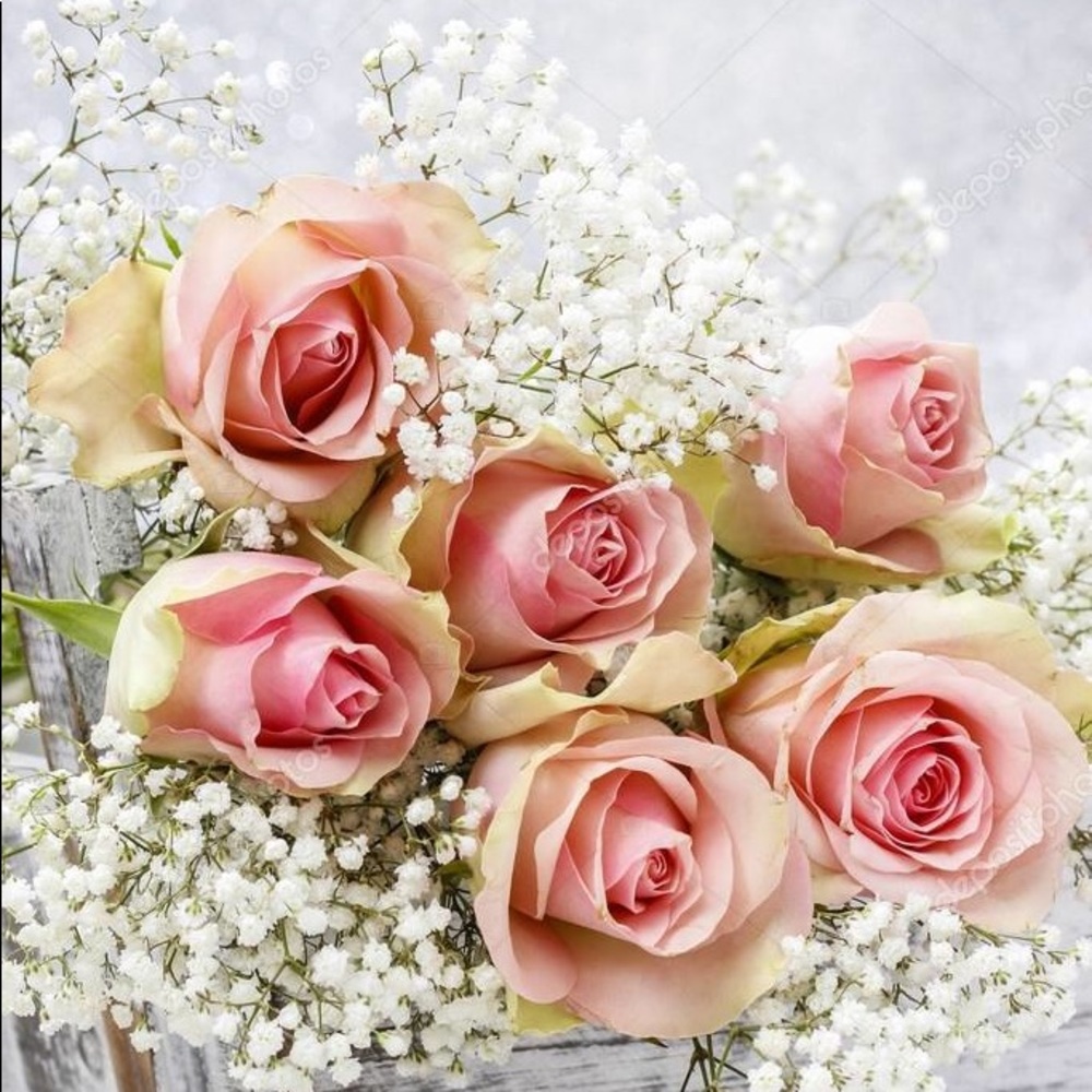 Meet your Posher, Jacquelyn